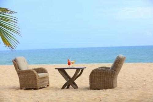 Mangrove Beach Cabana
