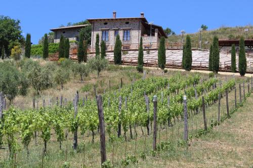 Feudi Enchestre B&B Agropoli chambre d'hôte Castel San Lorenzo