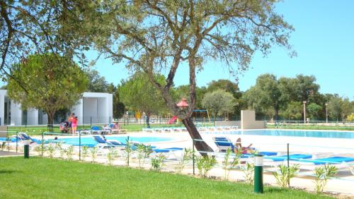 Úszómedence, Parque de Campismo Orbitur Montargil in Montargil