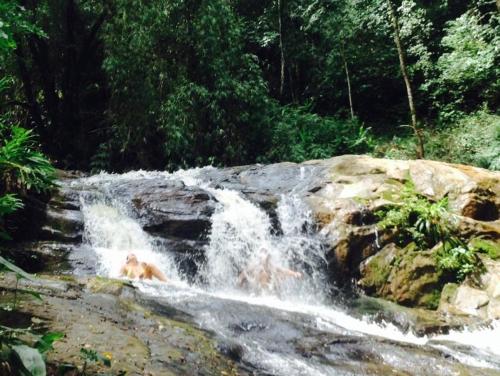 Rancho Maria Pimenta