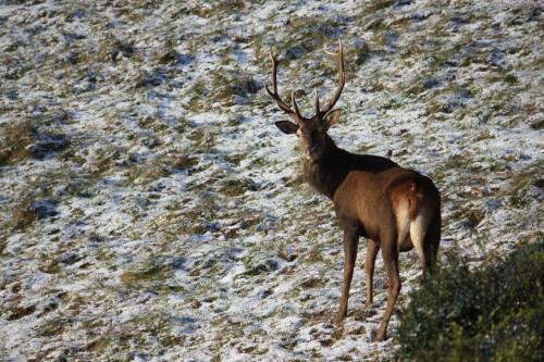 Maison du Coué Pyrénées Mourtis Gîte pour 2 à 12 pers