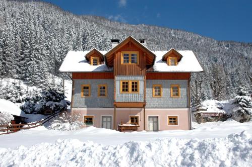 Ferienwohnung Althoelbling in 帕特加森