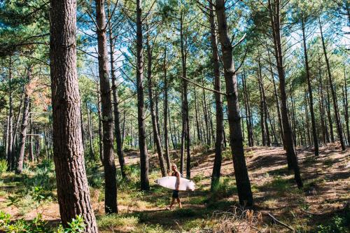 Single Fin Hotel & Lodge - image 12