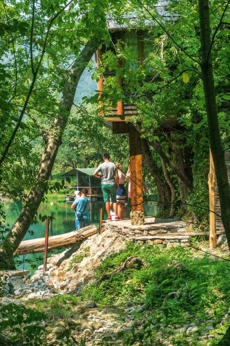 Japodski otoci - Japodia - image 3