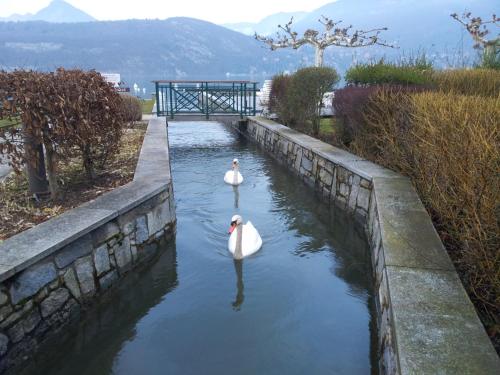 Studio les Pieds dans L'eau au bord du lac d'Annecy