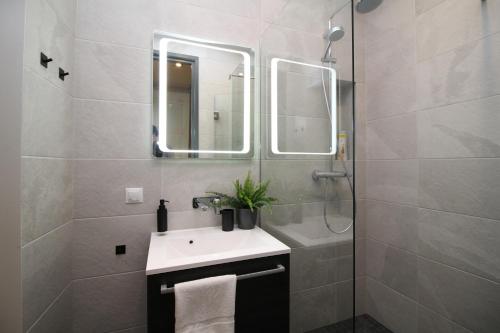 Two-Bedroom Apartment C33 image 7