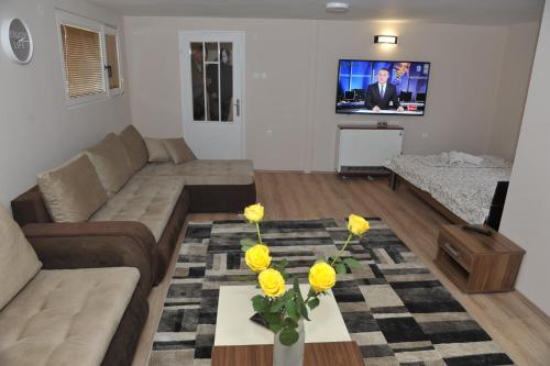 Golden House Apartments in Alvadžinica