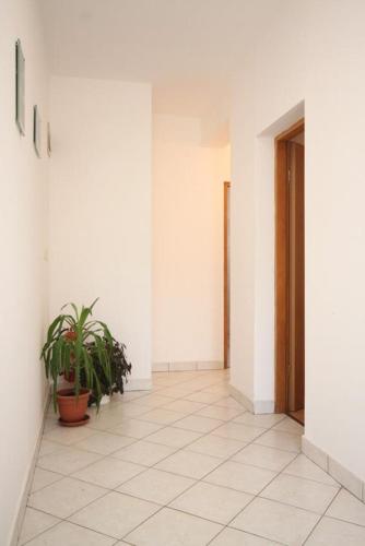 Apartments with a parking space Sali Dugi otok - 8172 - image 8