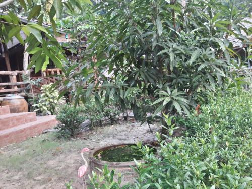 Koh Kood Little Hut Koh Kood Little Hut