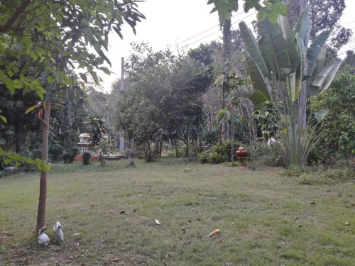 Koh Kood Little Hut Koh Kood Little Hut