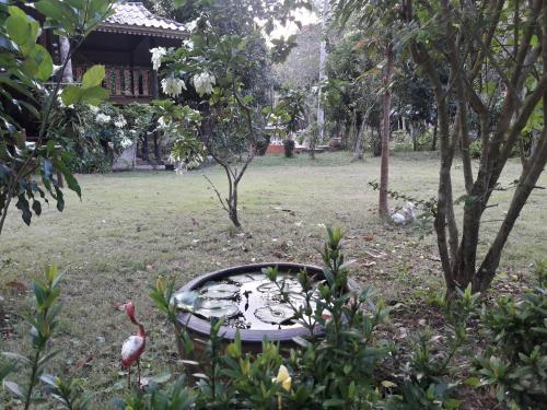 Koh Kood Little Hut Koh Kood Little Hut