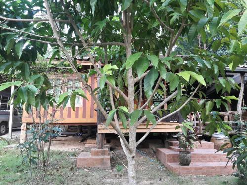 Koh Kood Little Hut Koh Kood Little Hut