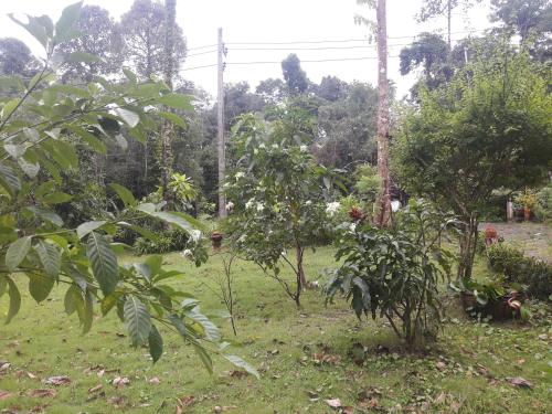 Koh Kood Little Hut Koh Kood Little Hut