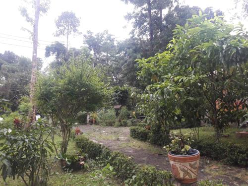 Koh Kood Little Hut Koh Kood Little Hut