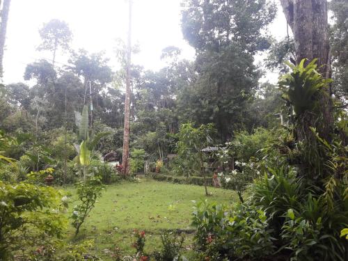 Koh Kood Little Hut Koh Kood Little Hut