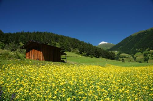 Alpengasthof Norbertshöhe Superior - image 4