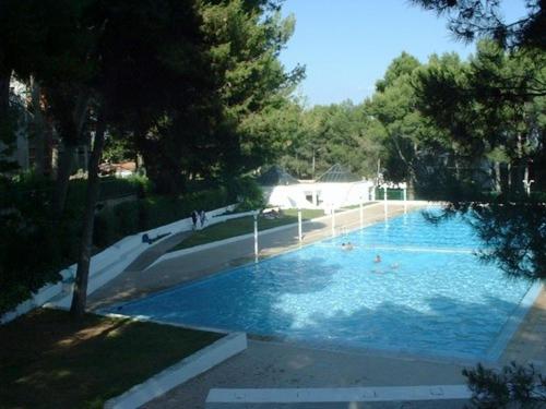 Úszómedence, Casa Las Violetas in Altura