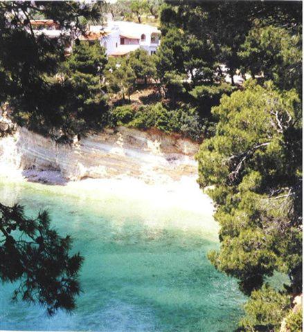 Villa Dolphin Votsi gîte à louer Skopelos Village