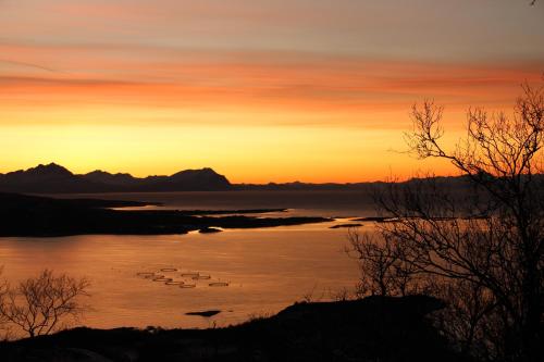 Senja Fjordhotell and Apartments