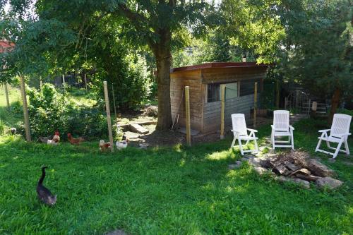 Atelier Reinhart - image 5