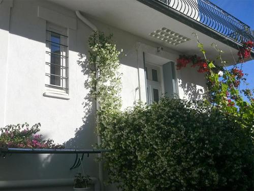 Le Clos Chez Michel - image 4