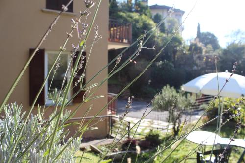  Atelier 55 Casa arte e natura in Como