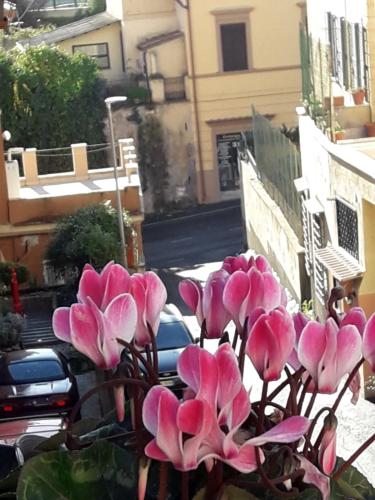 San Pietro Leisure and Luxury - image 10