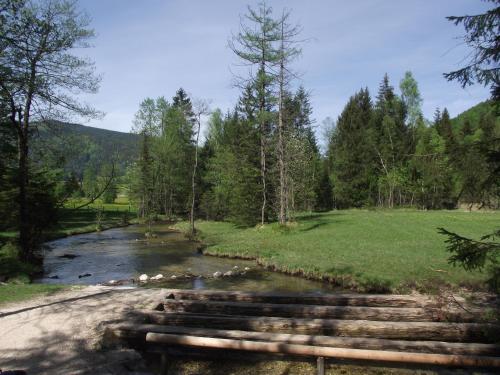 Ferienwohnung am Römerweg Wald - image 14