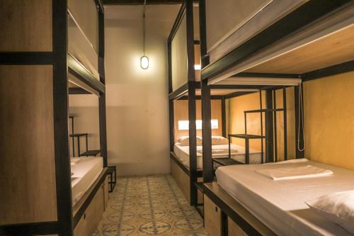 Baboon Hostel - image 3