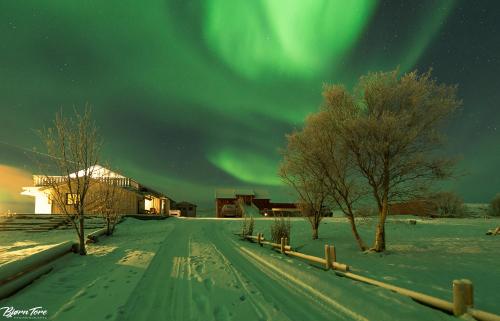 Bringnes Camp - image 5