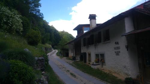 Ferien auf dem Weingut