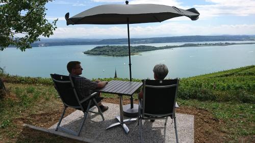 Ferien auf dem Weingut - Apartment - Ligerz