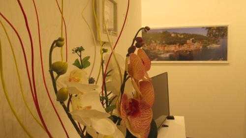  Domus Litore in centro a Rapallo, Pension in Rapallo