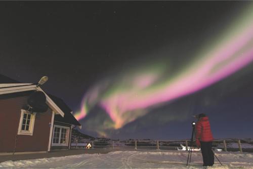 Senja Fjordhotell and Apartments