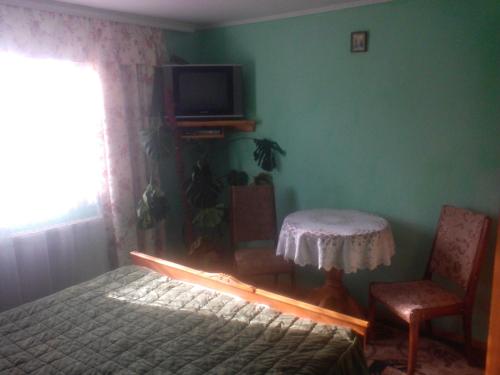 Shelter Pid Lypamy - Mykulychyn