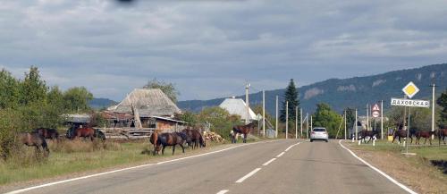Postoyaliy Dvor - image 5