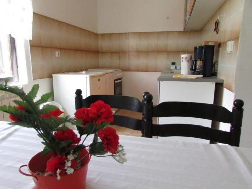 MIRELA house with apartment - main image