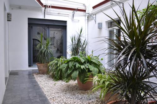 Casas y Patios de Sevilla 5