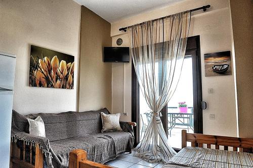 Palm Tree Apartments - image 8