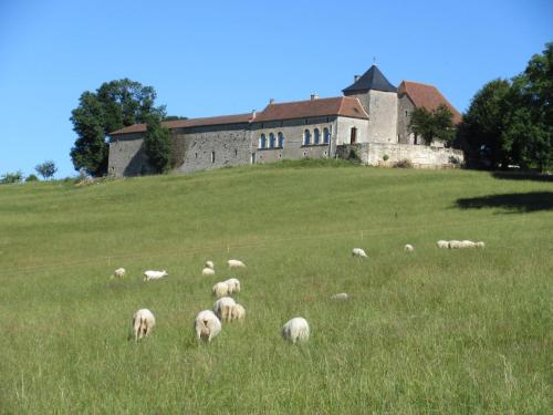 Nature et Piscine au sommet du Périgord - Chambre d'hôtes - Tourtoirac