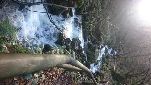  Apartamentos Rurales Vega de Llan in Taramundi