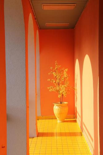 hotel socrate - image 3