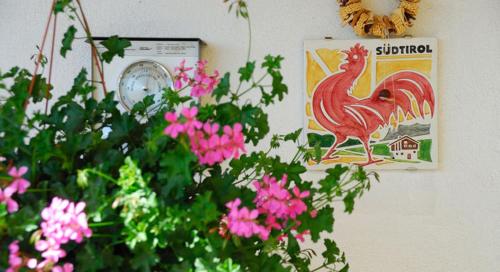 Stocknerhof, Bressanone (foto 4)