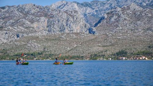  Apartments Marko 1305 in Seline