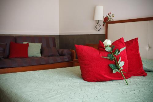 Hotel Rosa Spa Wellness & Beauty in אלסיו