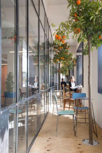 Einrichtungen, Bed & Boarding in Neapel