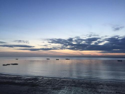 4 The Old Smithy in Freshwater South