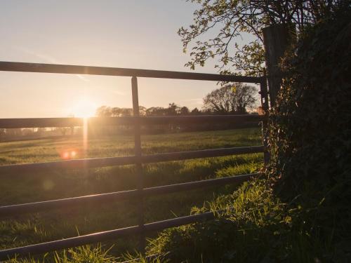 Llaethdy - The Dairy - image 3