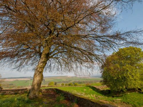 Westmains Farm - image 7