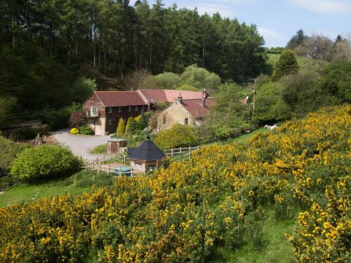 Diddlebury Cottage